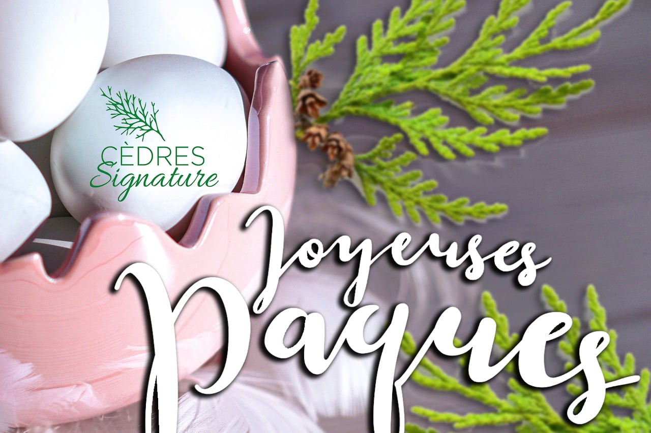 Spécial Paques 10% haie de cèdre